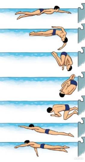 플립 턴 동작. [스포츠북스 체육학연구회 체육학사전 캡처]