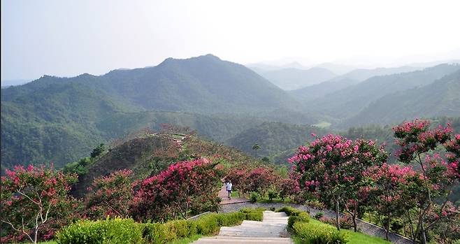 [안동=뉴시스] 산불로 소실되기 전의 울진 도화동산. (사진=경북도 제공) 2022.10.24 *재판매 및 DB 금지