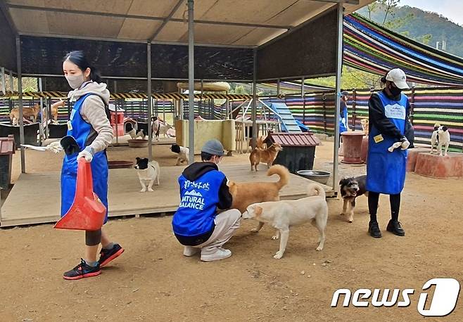 내추럴발란스 블루엔젤봉사단이 23일 경기 용인시 한 동물보호소에서 봉사활동을 하고 있다. ⓒ 뉴스1 최서윤 기자