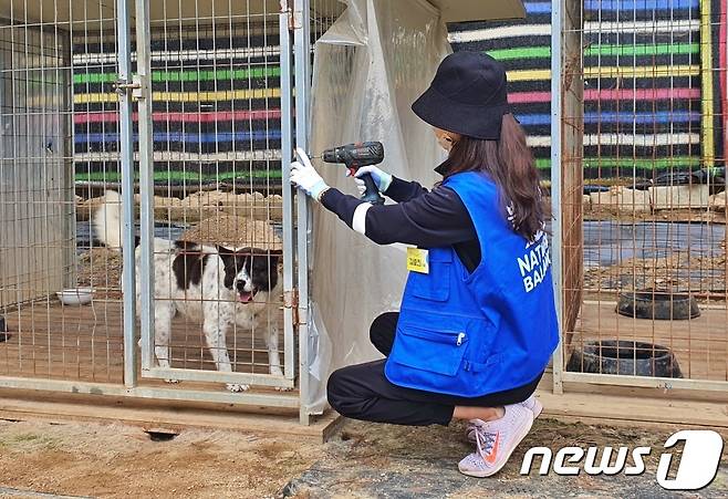 블루엔젤봉사단원인 모델 김효진이 23일 경기 용인시 한 동물보호소에서 봉사활동을 하고 있다. ⓒ 뉴스1 최서윤 기자