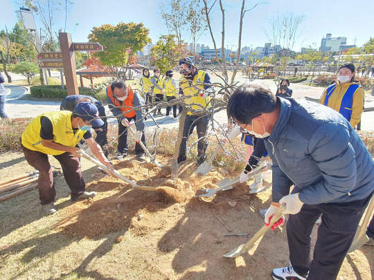 '탄소중립 자원봉사 숲'을 조성. 사진=서산시자원봉사센터 제공