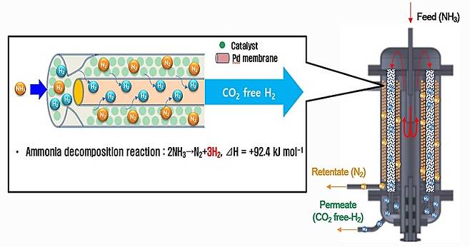 [대전=뉴시스] 수소분리막을 이용한 암모니아분해 수소생산 기술 원리. *재판매 및 DB 금지