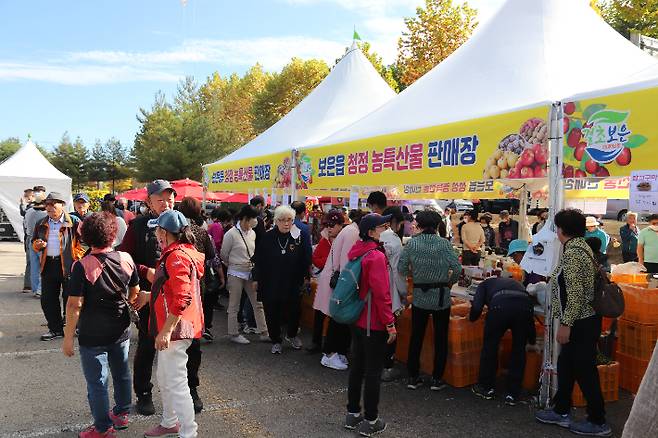 보은군 제공