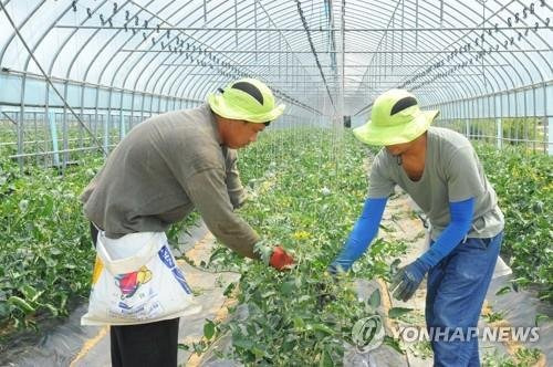 외국인 근로자[연합뉴스 자료사진]