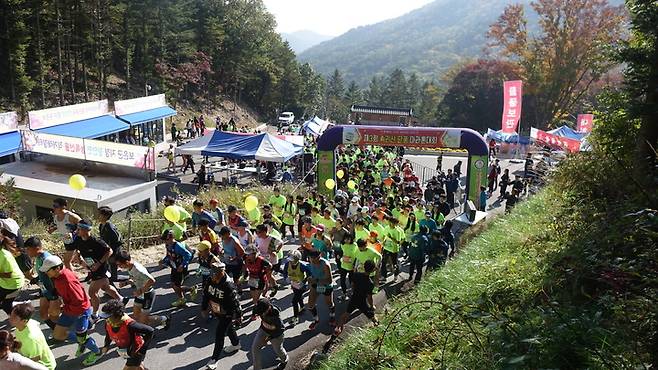 [보은=뉴시스] 안성수 기자 = 충북 보은군은 오는 29일 속리산 정이품송 공원에서 '제4회 보은 속리산 단풍 마라톤대회'를 개최한다. 사진은 지난 2019년 열렸던 제3회 보은 속리산 단풍 마라톤대회 모습. (사진=보은군 제공) 2022.10.27. photo@newsis.com  *재판매 및 DB 금지