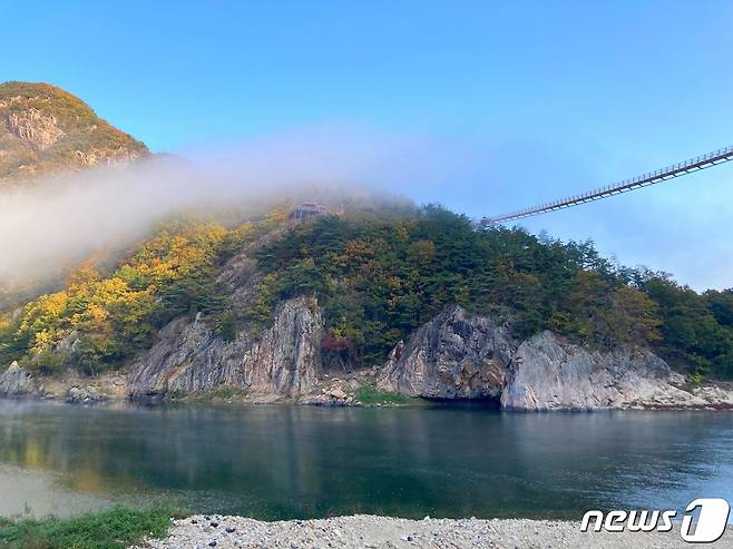 금산군 제원면 월영산에 설치된 출렁다리.