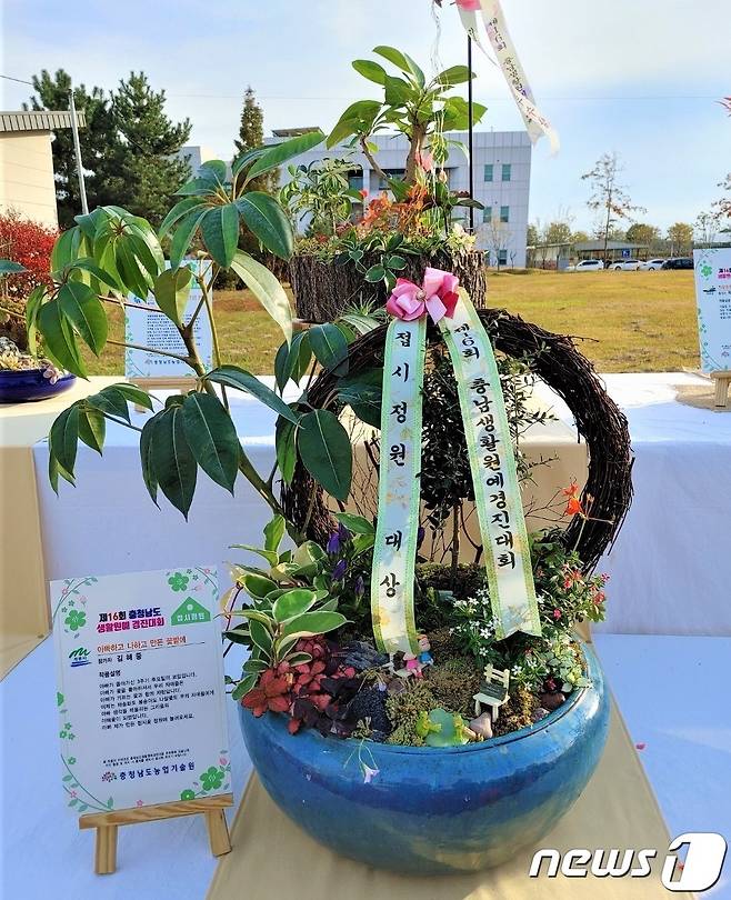 충남생활원예경진대회 접시정원 부문에서 대상을 수상한 김혜중씨 작품. (계룡시 제공) /뉴스1