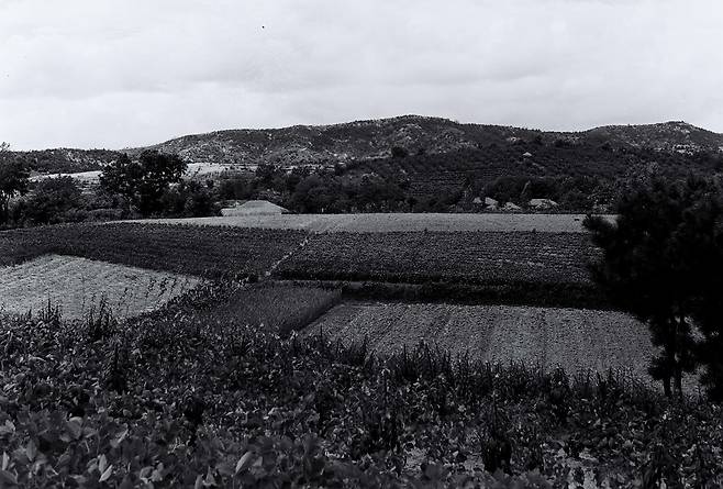 1967년 괴정동 청동기 유적지 모습(출처: 대전보건전문대 故 이은창 교수)