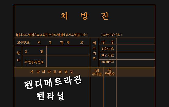 그래픽 이아름기자