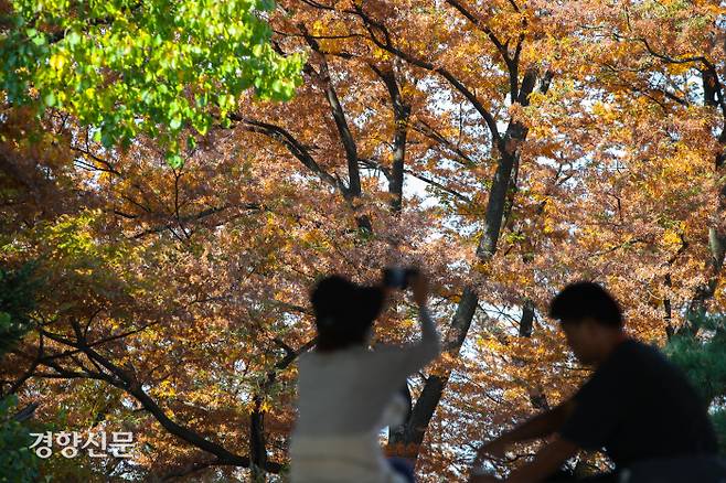 28일 서울 중구 남산에서 시민들이 붉게 물들어가는 단풍을 배경으로 깊어가는 가을을 즐기고 있다. 성동훈 기자
