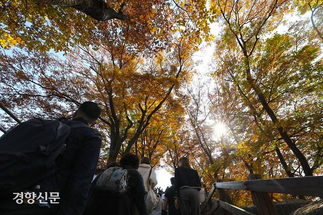 28일 서울 중구 남산에서 시민들이 붉게 물들어가는 단풍을 배경으로 깊어가는 가을을 즐기고 있다. 성동훈 기자