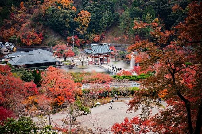 [서울=뉴시스] 일본 오사카 미노오공원 (사진 출처: Pexels) 2022.10.27. photo@newsis.com *재판매 및 DB 금지