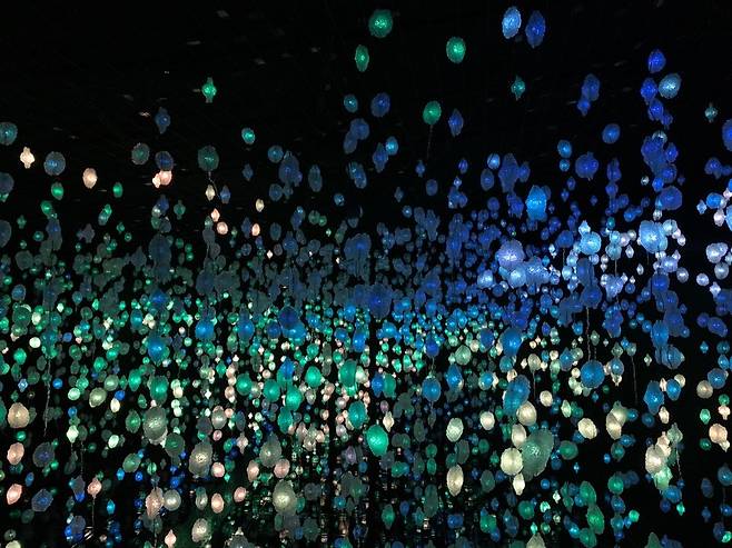 카타르 국립박물관에 있는 피필로티 리스트의 작품     (도하=연합뉴스) 김예나 기자 = 지난 23일(현지시간) 카타르 국립박물관에 피필로티 리스트의 '유어 브레인 투 미, 마이 브레인 투 유'(Your Brain to Me, My Brain to You) 작품이 설치돼 있다. 2022.10.27
    yes@yna.co.kr