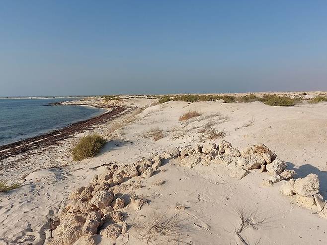 카타르 반도의 북서쪽 바닷가에 있는 알 주바라 유적의 일부분. 고대부터 근세까지 실크로드의 고급교역품인 진주 조개 잡이로 번성했던 옛 해안도시의 흔적이다. 바닷가까지 뻗은 거대한 도시 유적의 자취들이 거의 훼손되지 않고 온전하게 남아있다. 노형석 기자