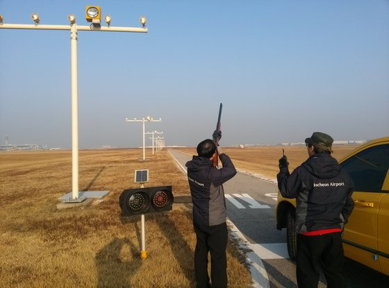 인천공항 야생동물통제대원이 인천공항 활주로 인근에서 조류 퇴치 작업을 하는 모습. 뉴스1[인천공항공사 제공]