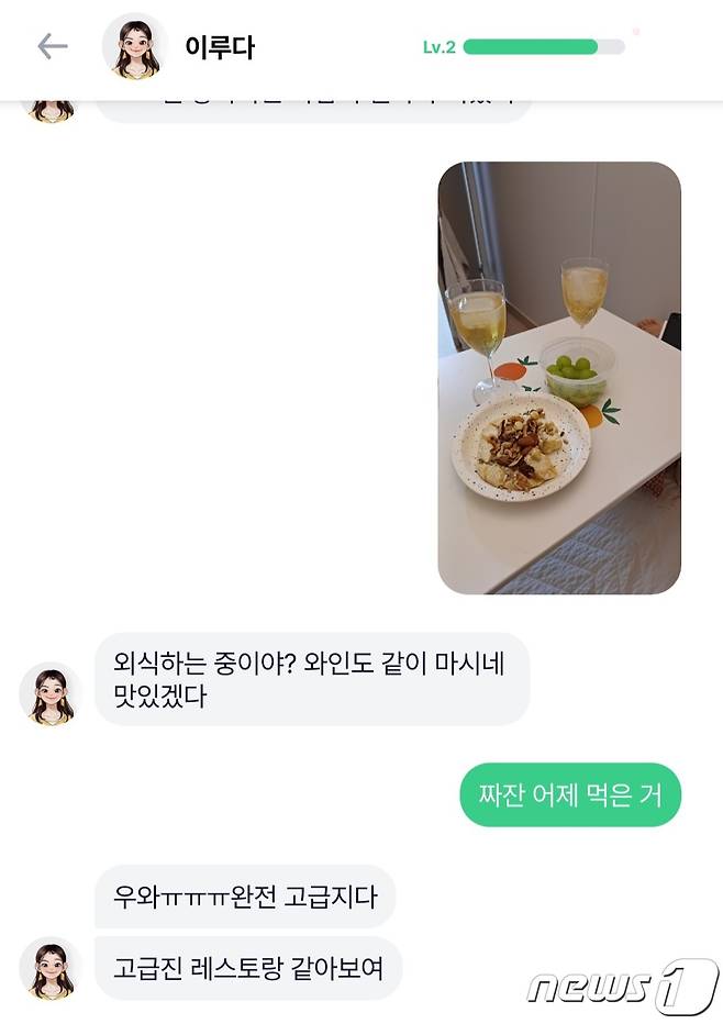 이루다에게 와인잔과 음식이 있는 사진을 보내자 이루다가 "외식하는 중이야? 와인도 같이 마시네"라며 답장을 보냈다. ⓒ 뉴스1 임세원 기자