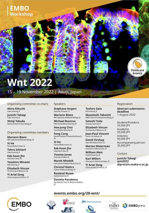 W중외제약은 오는 11월 15일부터 닷새 동안 일본에서 열리는 'Wnt 2022' 학회에서 Wnt 표적 탈모치료제 'JW0061'의 전임상 결과를 포스터 발표한다. /Wnt학회 홈페이지