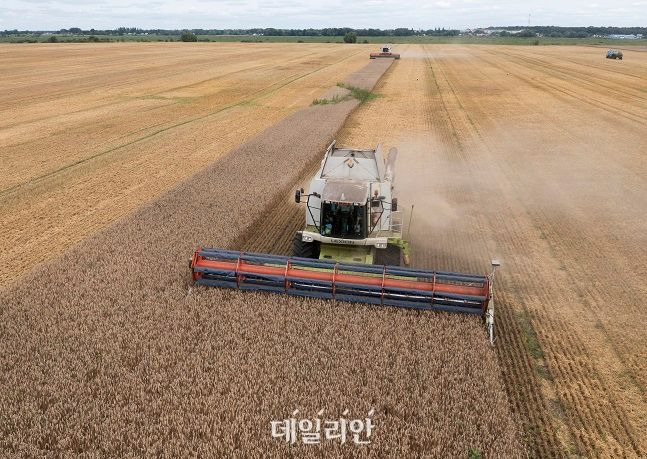 지난 8월 우크라이나 즈흐리우카 밀밭에서 농민들이 밀을 수확하고 있다. ⓒ뉴시스