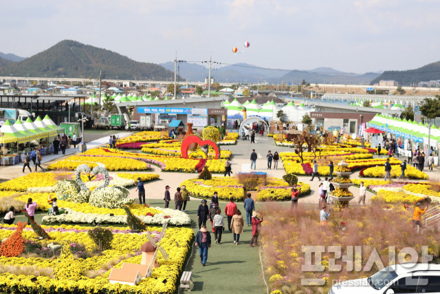 ▲제7회 강진만 갈대축제ⓒ프레시안(위정성)