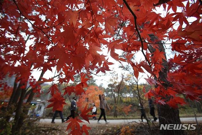 [인제=뉴시스] 김경목 기자 = 28일 오후 나들이객들이 강원도 인제군 인제읍 필레약수 인근에서 울긋불긋 곱게 물든 단풍을 배경으로 기념사진을 촬영하는 등 행복한 가을여행의 추억을 남기고 있다. 2022.10.28. photo31@newsis.com