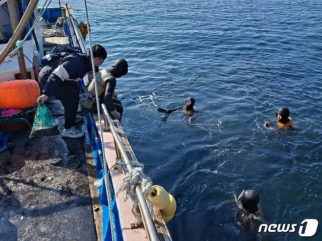 2일 제주시 추자면 대서리 해역에 어린 홍해삼(종자) 10만 마리가 방류되고 있다.(한국수산자원공단 제공)