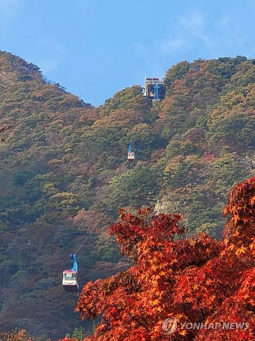 내장산 케이블카 [연합뉴스 자료사진]