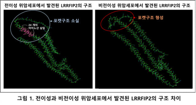 사진=메드팩토