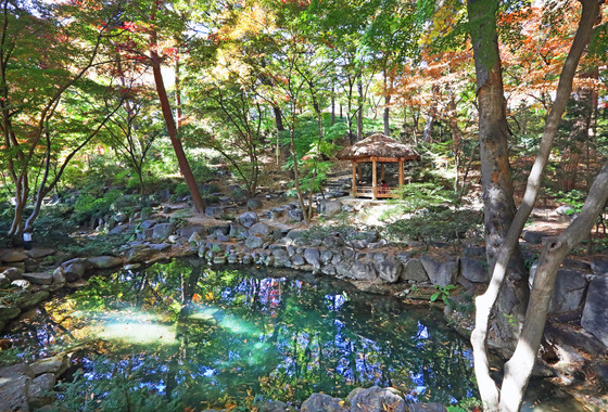 Gardens inside the Blue House [PARK SANG-MOON]