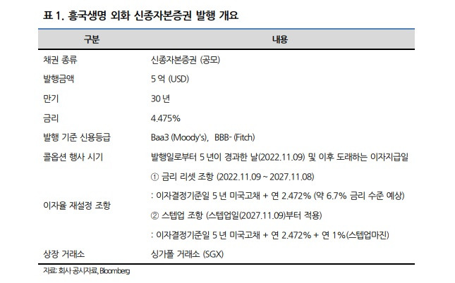 /표=나이스신용평가 보고서 캡쳐