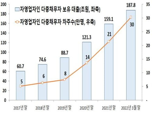 개인사업자 다중채무자 현황