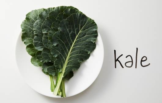 케일 | 출처: 클립아트코리아