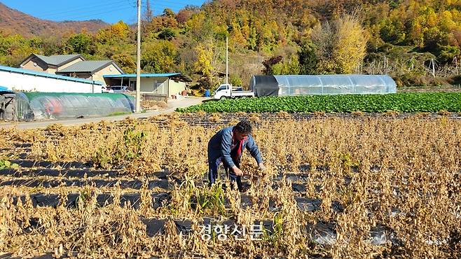 지난달 29일 규모 4.1의 지진이 발생했던 충북 괴산군 장연면 조곡리에서 4일 오전 한 주민이 밭일을 하고 있다. 이삭 기자.