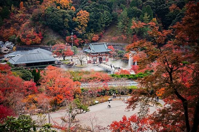 일본 오사카 미노오공원 / 사진 = 펙셀스