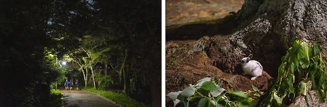 사진 = 제주관광공사