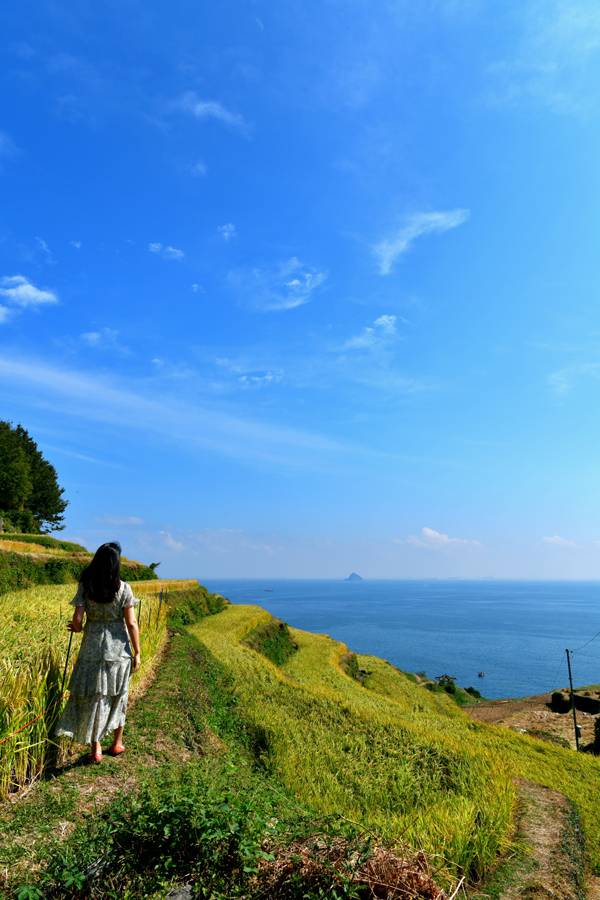 다랭이마을 논두렁길.