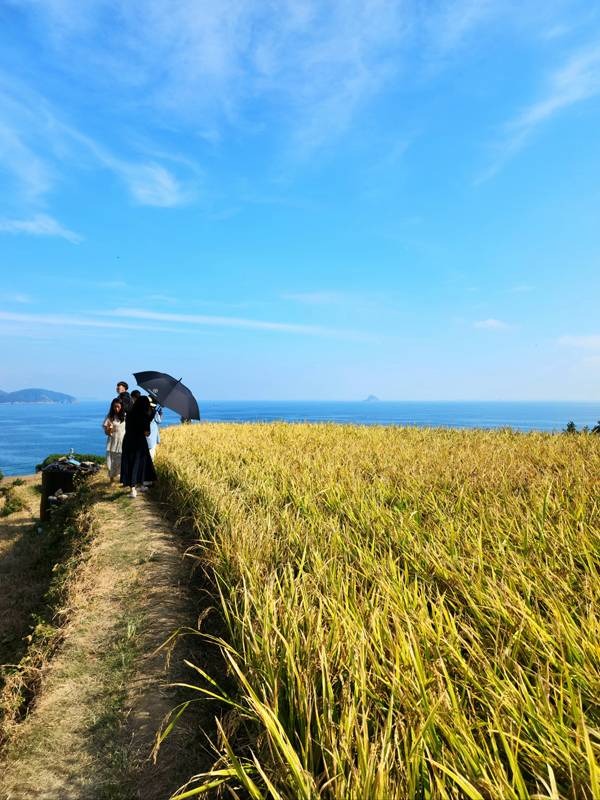 다랭이마을 논두렁길.
