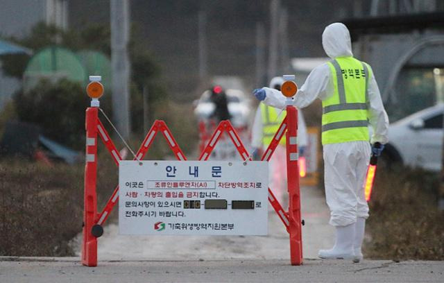 지난달 26일 충북 진천군 이월면 육용오리농장에서 고병원성 조류인플루엔자(AI)가 의심된다는 신고가 들어와 가축방역당국이 농장 진입로를 통제하고 있다. 해당 농장은 다음 날 AI 확진 판정을 받았다. 뉴시스