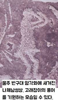 울주 반구대 암각화에 새겨진 나체남성상. 고래잡이의 풍어를 기원하는 제사장이라는 해석이 있다.