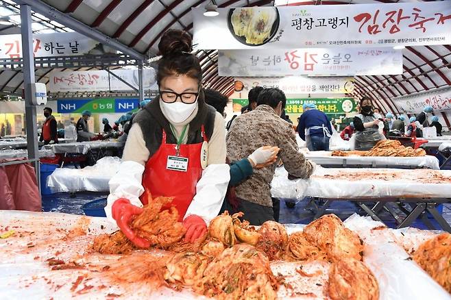 탤런트 김청 씨 김장 행사 참여  [평창군 제공.재판매 및 DB 금지]