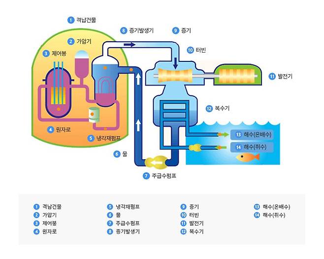 원자력 발전소 개념도. /원자력안전위원회 제공