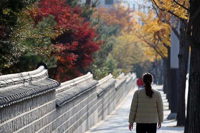 기상청은 오는 9일 전국 대부분이 일교차가 10도 내외로 커 건강 관리에 유의할 것을 당부했다. 사진은 지난 7일 서울 강남구 선릉 인근에서 가로수들이 형형색색 물이 든 모습. /사진=뉴스1