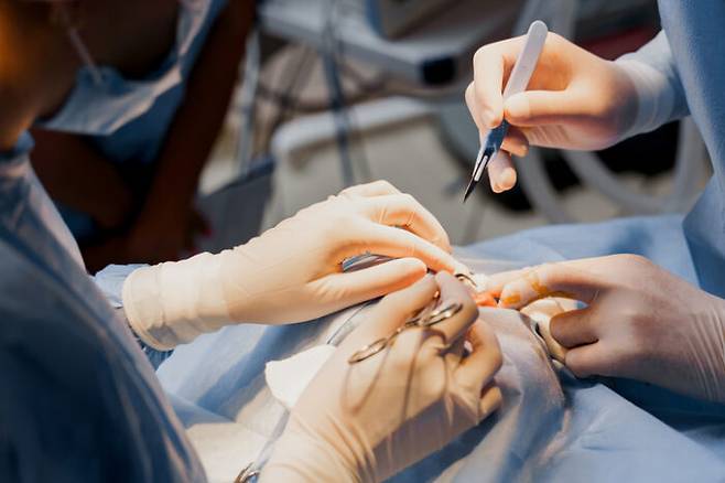 [사진=게티이미지뱅크]