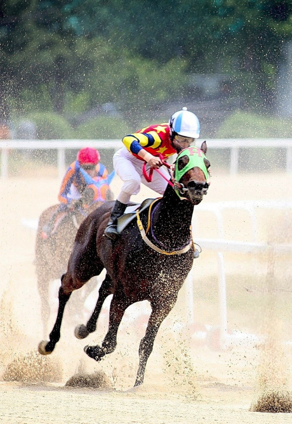 힘차게 질주하는 기수와 말의 역동적인 모습을 담았다. 과천 경마장에서 박규진 작가. 사진｜박규진 작가