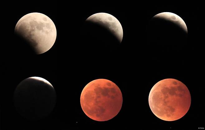 8일 저녁 서울 한강시민공원에서 바라본 동쪽 하늘 위로 태양과 지구, 달이 일직선에 놓이며 달이 지구 그림자로 들어가는 현상인 ‘개기월식’이 펼쳐졌다.