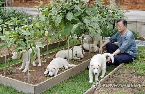 [연합뉴스 자료사진]