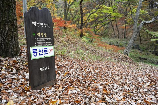 백범이 은거했던 마곡사 백련암 가는 길에 낙엽이 수북하게 쌓여 있다.