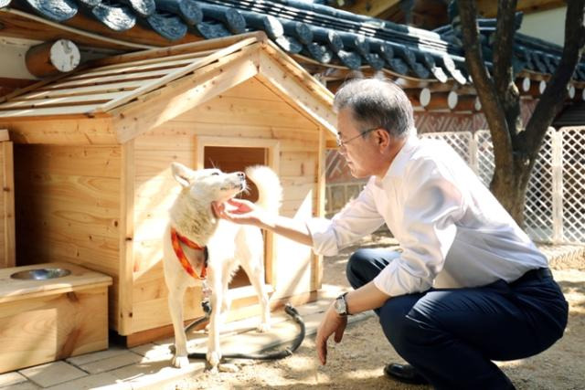 문재인 전 대통령이 2018년 11월 청와대 관저에서 풍산개 '곰이'를 쓰다듬고 있다. 연합뉴스