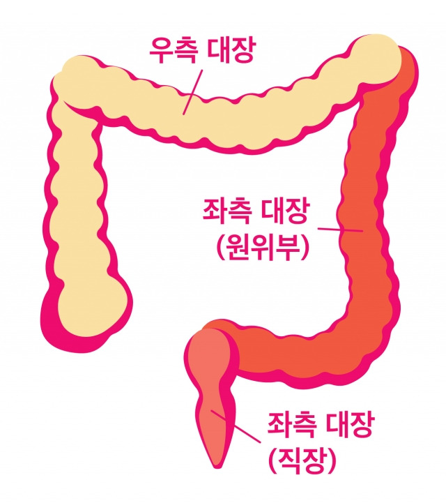 서울대병원 강남센터 제공