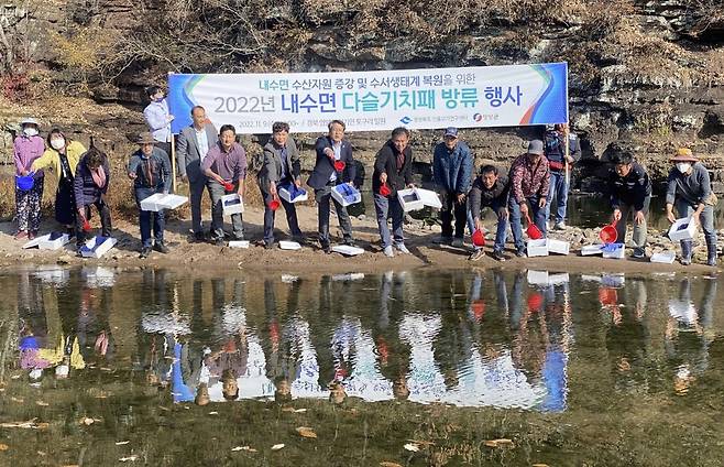 영양군 동천에 어린 다슬기 9만 패 방류 [경북 영양군 제공, 재판매 및 DB 금지]