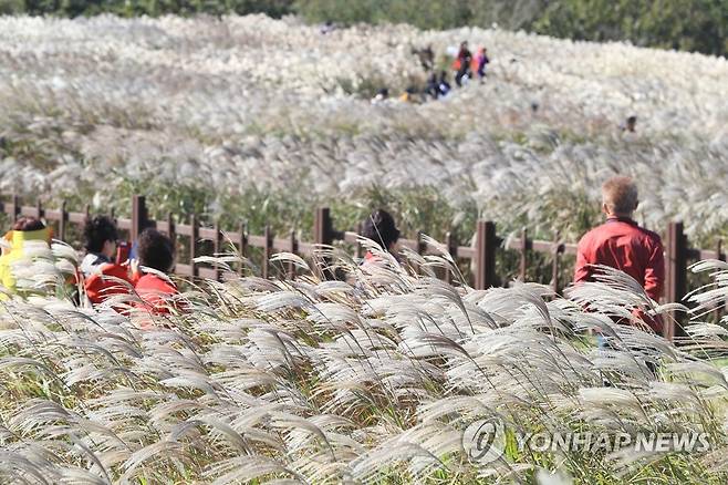 제주 산굼부리 찾은 관광객들 [연합뉴스 자료사진]